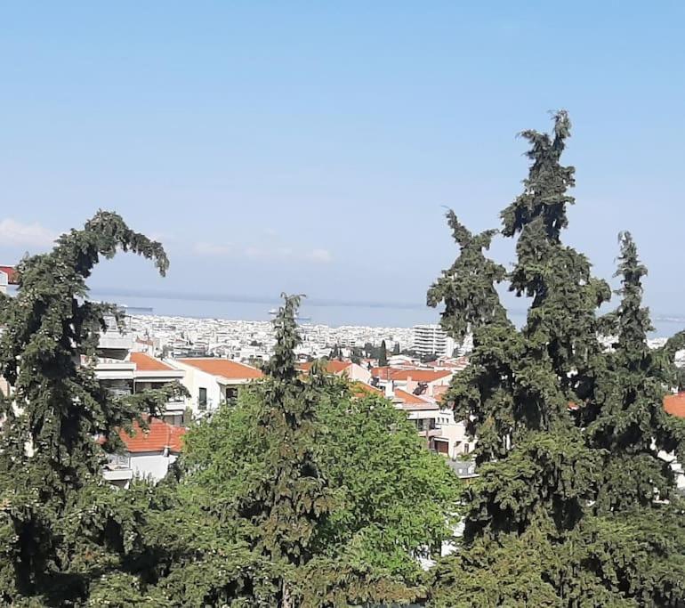 Όμορφο Διαμέρισμα- Σοφίτα Με Υπέροχη Θεα Солун Екстериор снимка